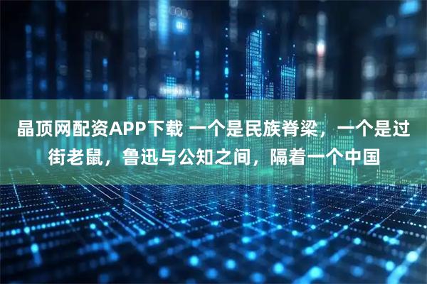 晶顶网配资APP下载 一个是民族脊梁，一个是过街老鼠，鲁迅与公知之间，隔着一个中国