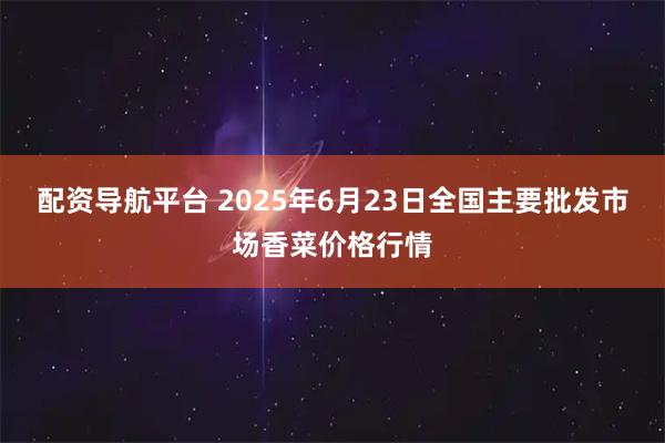 配资导航平台 2025年6月23日全国主要批发市场香菜价格行情